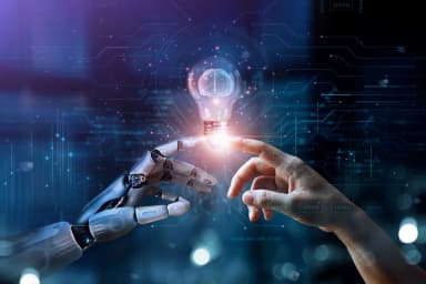 Employee Development Program